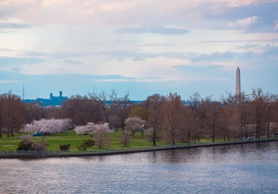 Washington DC: 1 or 2-Day Unlimited Water Taxi Pass - Old Town Alexandria at the Alexandria City Marina stop