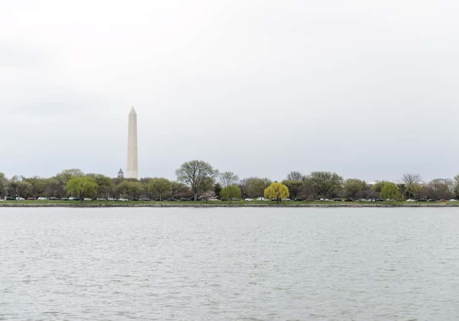 Washington DC: 1 or 2-Day Unlimited Water Taxi Pass - National Harbor: longer ride, calmer feel, and the best accessibility note