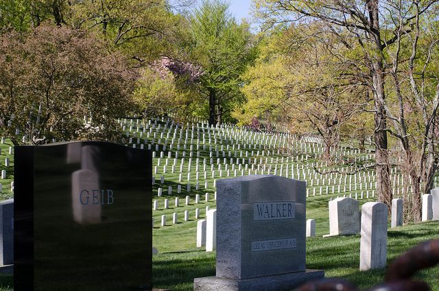 Washington DC: Arlington Nat. Cemetery Ticket & Tram Tour - Key things that make this Arlington tram tour worth it