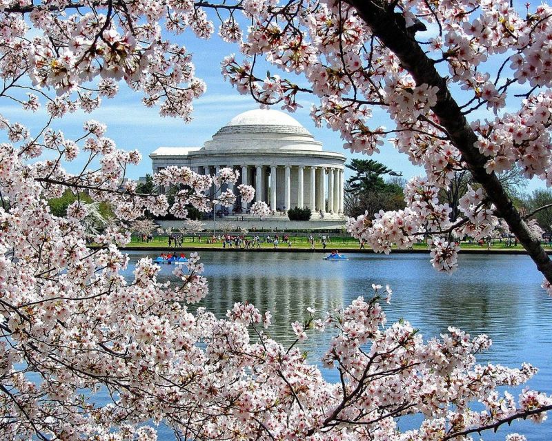 Washington DC: Cherry Blossom Walking Tour - Lincoln Memorial: what the guide helps you see