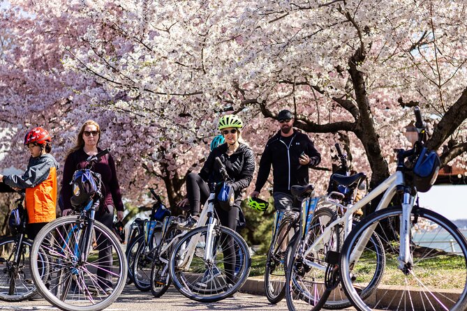 Washington DC Cherry Blossoms By Bike Tour - Tour dates and timing: how to plan around cherry peak (April 3 to 6)