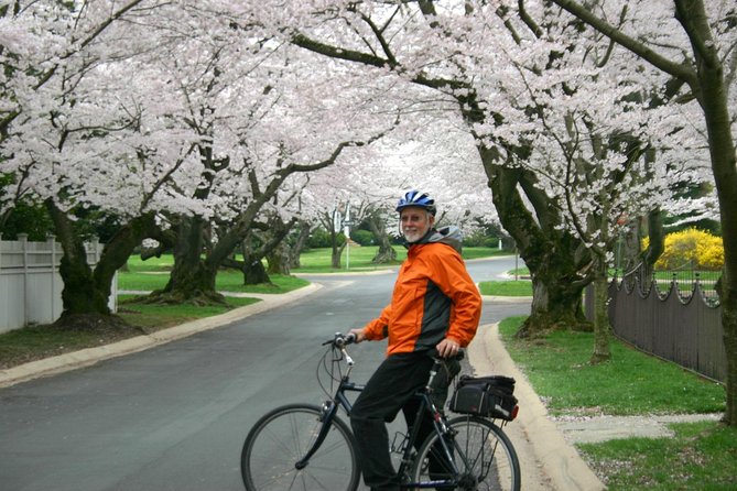 Washington DC Cherry Blossoms By Bike Tour - Martin Luther King, Jr. Memorial: respect-first biking, then a walk