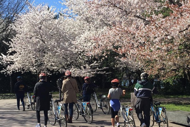 Washington DC Cherry Blossoms By Bike Tour - Start point at 701 D St NW, bike fitting, and what to bring