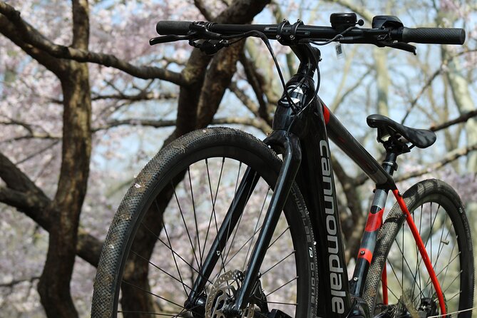 Washington DC eBike Rental with Helmet and Handlebar Bag for 16+ - Museum Time Using Your Lock and Handlebar Bag