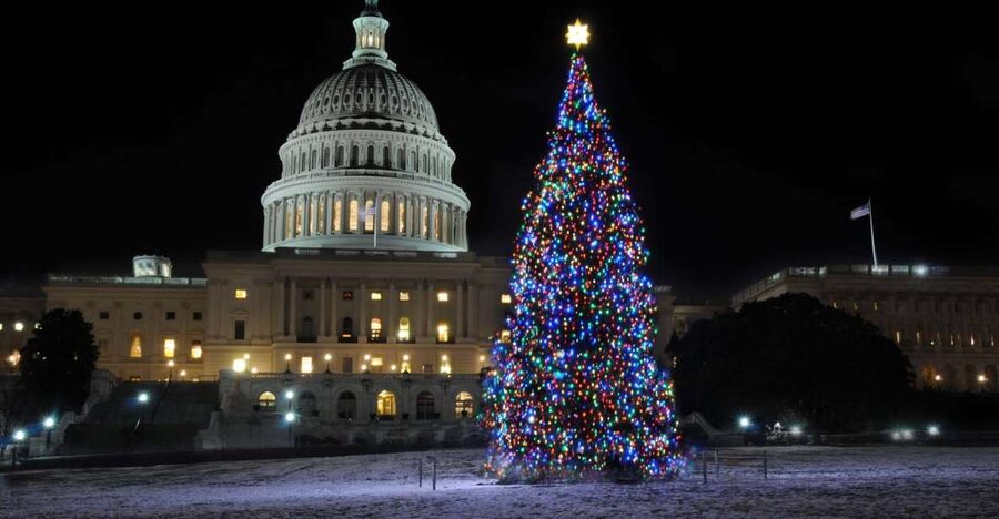 Washington, DC: Holiday Lights Nighttime Bus Tour - Key highlights that matter (and why)
