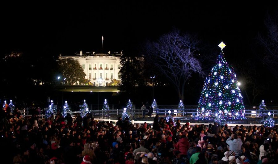 Washington, DC: Holiday Lights Nighttime Bus Tour - White House time: National Christmas Tree and the Pathway of Peace