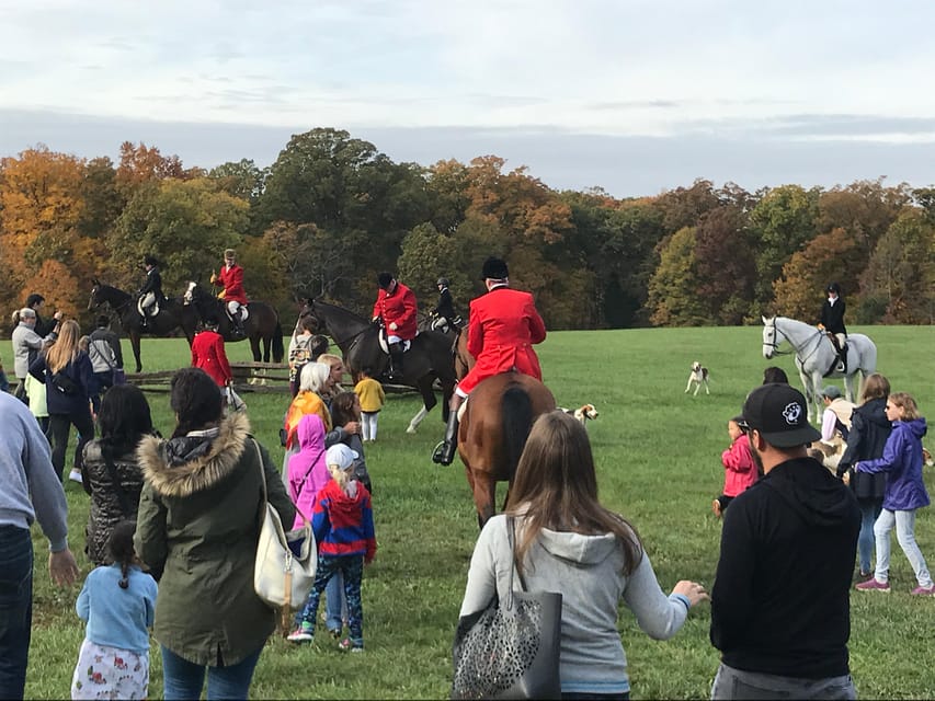 Washington DC: Mount Vernon Half-Day Tour - Transportation reality: coach comfort, seatbelts, and audio quality