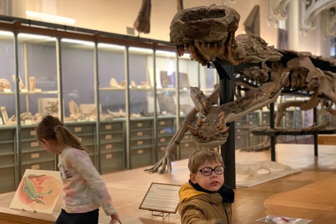 Washington DC Museum of Natural History Private Family tour - Price and logistics: $350 per group, up to 5, for about 2 hours