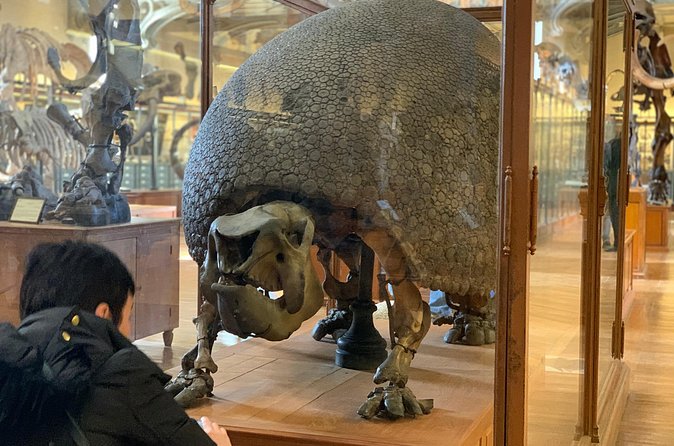Washington DC Museum of Natural History Private Family tour - Stop 1 at the Smithsonian National Museum of Natural History