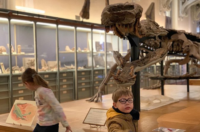 Washington DC Museum of Natural History Private Family tour - The behind-the-scenes collection facts your guide can bring up