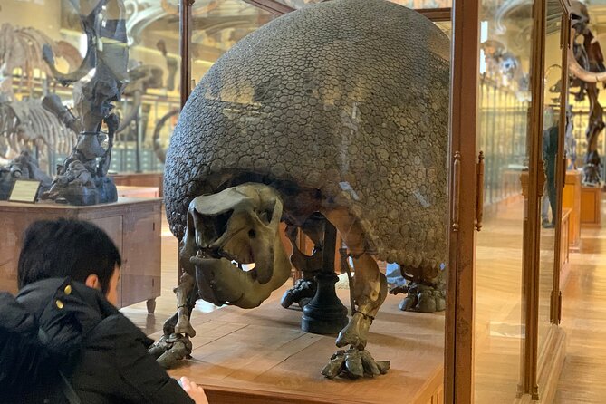 Washington DC Museum of Natural History Private Family tour - Staying after the tour: free admission means you keep the day going