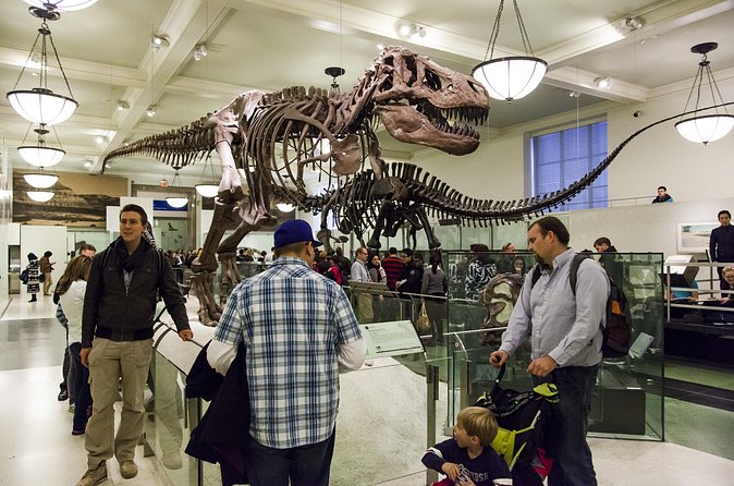 Washington DC Museum of Natural History Private Family tour - What you really get with a private family guide