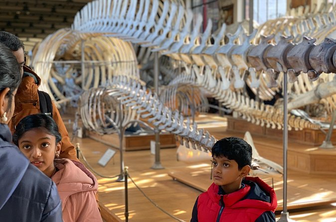 Washington DC Museum of Natural History Private Family tour - Who this tour is best for, and who should skip it