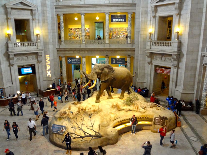 Washington DC: Museum of Natural History Private Guided Tour - Dinosaur Hall and Mummies: The Two Stops That Do the Work