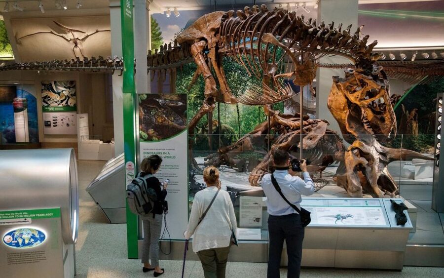 Washington DC: Museum of Natural History Private Guided Tour - Gems, Minerals, and Early Human Civilizations: Where Learning Feels Tangible