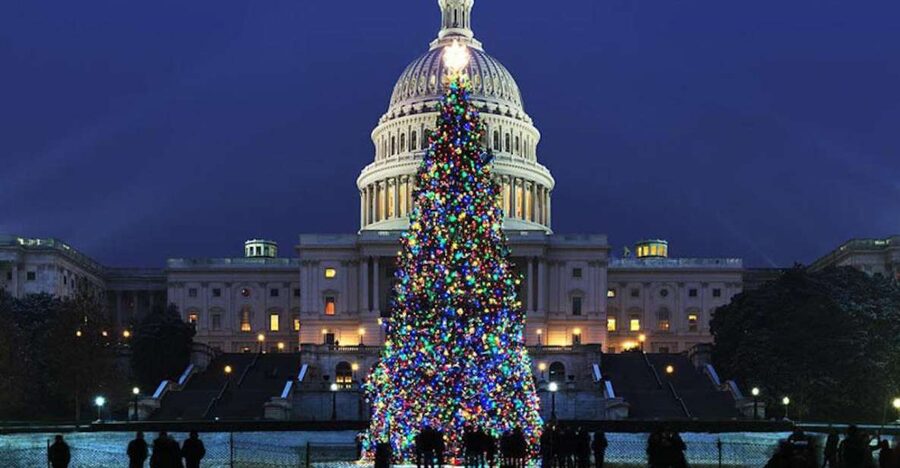 Washington, DC: National Mall and Memorials Moonlight Tour - Key Highlights You’ll Actually Feel