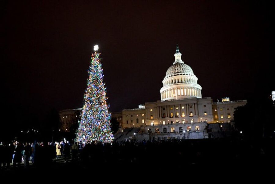 Washington, DC: National Mall and Memorials Moonlight Tour - Why a Moonlight Tour Works So Well in Washington DC