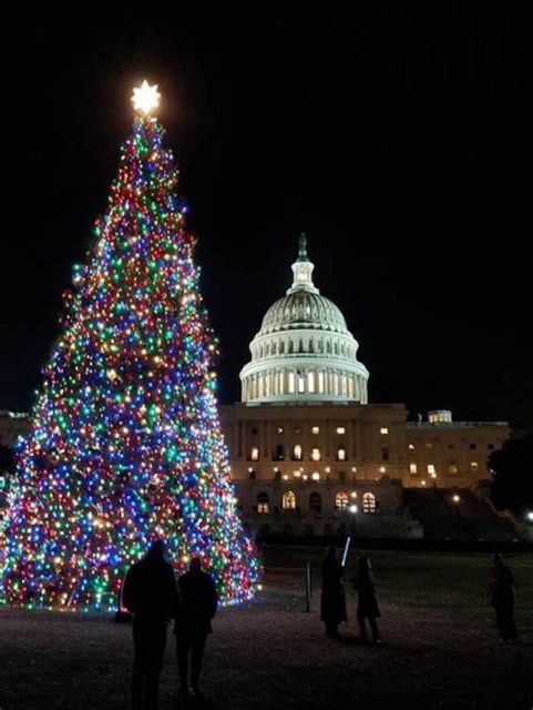 Washington, DC: National Mall and Memorials Moonlight Tour - What the Tour Feels Like in Real Life