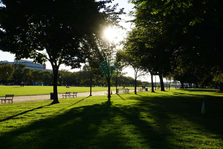 Washington DC: National Mall Walking Tour - Price and value: is $25 a good deal?