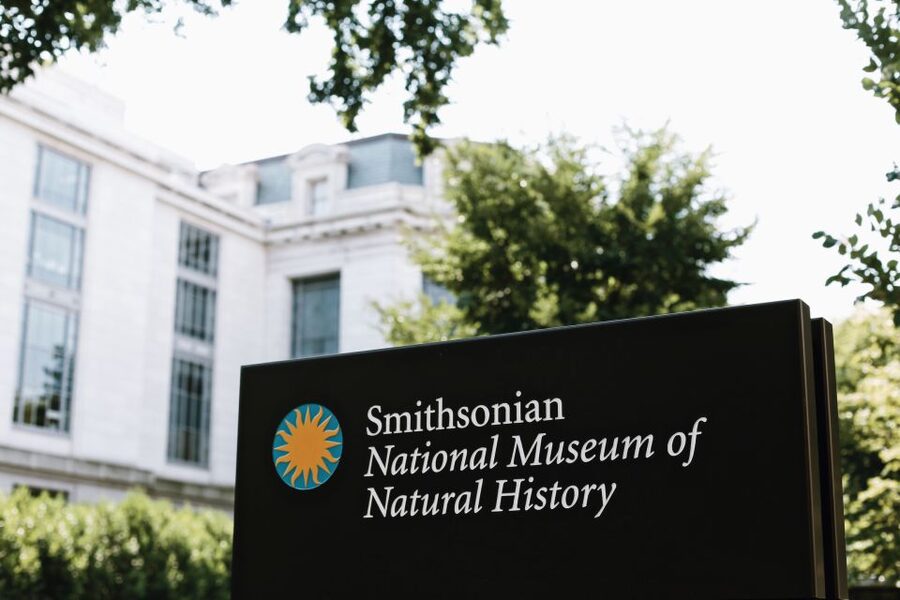 Washington DC: National Museum of Natural History Tour - Key highlights worth planning around