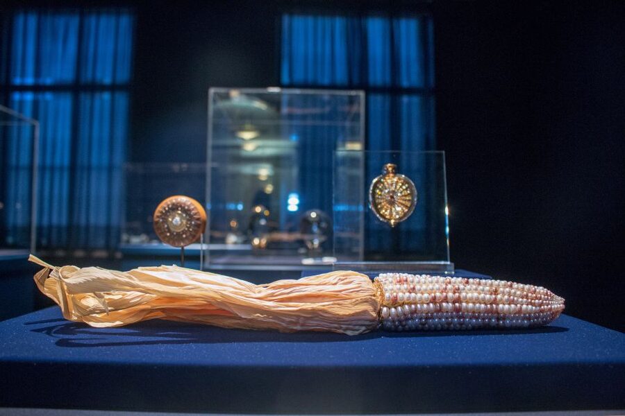 Washington DC: National Museum of Natural History Tour - Mummies and the quieter rules that keep the experience respectful