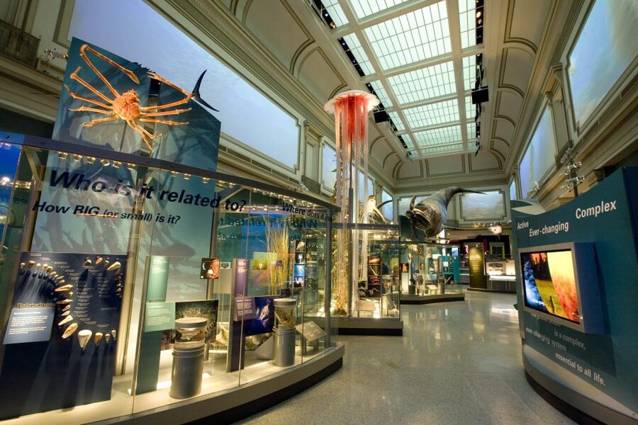 Washington DC: National Museum of Natural History Tour - Practical stuff: ID, dress, bags, and the museum’s rules