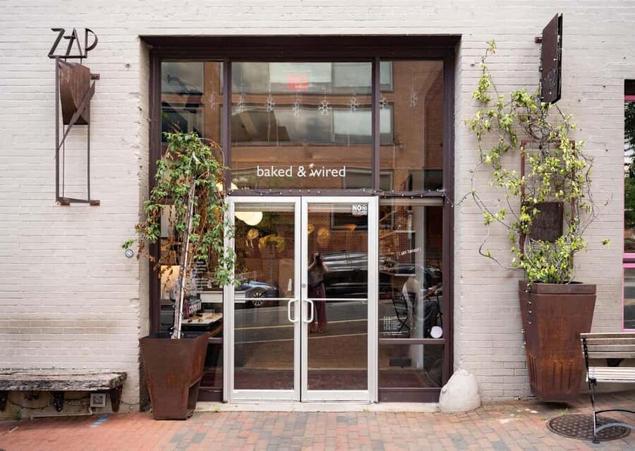 Washington DC: Potomac Cruise and Georgetown Walking Tour - How the walking pace actually feels, and who this tour suits best