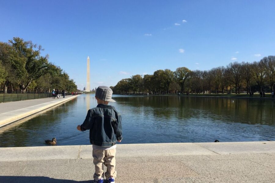 Washington, DC: Private National Mall Walking Tour - Key takeaways you can actually use