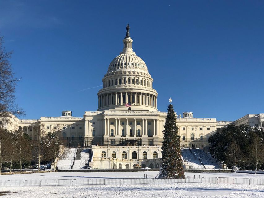 Washington DC: Private Tour with Luxury Vehicle - National Mall driving plus smart step-out time