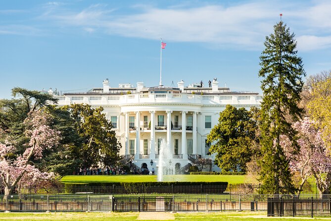 Washington DC Sight Seeing Private Tour-English or Spanish Option - Price and value: what $630 per group is really buying you